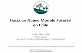 Hacia un Nuevo Modelo Forestal en Chile - Terram