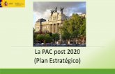 La PAC post 2020 (Plan Estratégico)