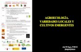 AGROECOLOGÍA. VARIEDADES LOCALES Y CULTIVOS …
