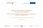 BUILD UP SKILLS SPAIN Construye 2020