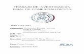 TRABAJO DE INVESTIGACIÓN FINAL DE COMERCIALIZACIÓN