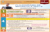 FLUJOGRAMA DE MATRÍCULA 2021-II