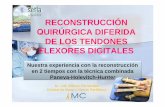 RECONSTRUCCIÓN QUIRÚRGICA DIFERIDA DE LOS TENDONES ...