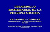 DESARROLLO EMPRESARIAL DE LA PEQUEÑA MINERIA - Proyecto …