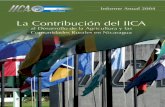 Info Anual 2004 - IICA