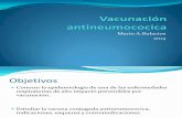 Vacunaci³n antineumococica