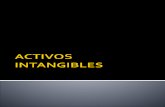 Presentaci³n Activos Intangibles-I