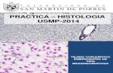 Usmp Practica - Histologia 2014- Tejido Conectivo Wes