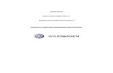 Sistemas de Inyeccion de Combustible Computarizado VW