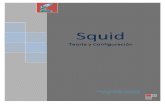 Squid: Teor­a y Configuraci³n