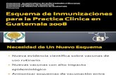 Esquemas de Inmunizaciones Guatemala 20081