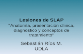 Lesiones de SLAP â€œ Anatom­a, presentaci³n cl­nica, diagnostico y conceptos de tratamientoâ€‌