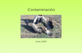 Contaminación Junio 2008. Compuestos agroquímicos Fertilizantes o nutrientes sintéticos Pesticidas o plaguicidas Reguladores de crecimiento Industria.