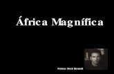 frica Magn­fica