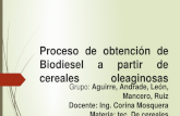 Biodiesel Exposicicion