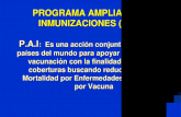 PROGRAMA AMPLIADO DE  INMUNIZACIONES (P.A.I.)
