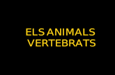 ELS ANIMALS  VERTEBRATS