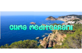 6 clima mediterrani ruyi ye