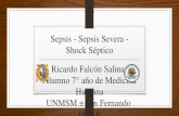 Sepsis   sepsis severa - shock séptico