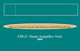 CPC.C Dante Ataupillco Vera 2009 PLAN CONTABLE GENERAL EMPRESARIAL