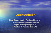 Desnutrici³N Fisiopatolog­A