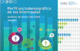 Perfil Sociodemografico del Internauta en 2012