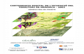cartografia digital de l'ocupació del territori de menorca - 2002