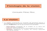 Fisiología de la visión