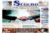 Periodico El Reporte Seguro Edición 12