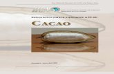 Para Exportar Cacao
