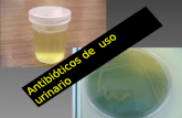 Antibi³ticos de uso urinario. Beta lactmicos: amoxicilina-clavulnico Cefalosporinas de segunda generaci³n Cefuroxime. Trimetoprim Sulfametoxazol Quinolonas