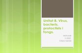 Unitat 8. virus, bacteris, protoctists i fongs