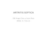 Artritis septica - Summary