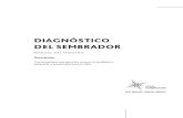 DIAGNÓSTICO DEL SEMBRADOR - Red de Multiplicación .red de multiplicaciÓn diagnÓstico del sembrador