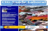 CIG-Sade CIG Saude Laboral...  Os riscos de sade dos traballadores e traballadoras, os problemas