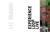Experience loop live_2013