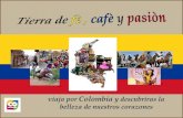 Revista culturas colombianas