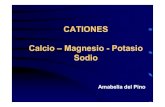 CATIONES Calcioâ€“Magnesio-Potasio de los procesos de meteorizacin y lixiviacin ... â€¢ Problema de competencia con otros iones por absorcin â€¢ Proceso pasivo Translocacin