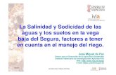 La salinidad y sodicidad de las aguas y los suelos en la ...· 3/5/2010 Jornadas riego S. Miguel de