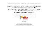 Aplicación de metodologías isoinerciales para la ...n Quesada,   · Recuperación de SLAP