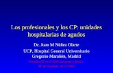 Los profesionales y los CP: unidades hospitalarias de .PPT file · Web view2012-05-21 · Title: