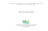 TRATAMIENTO CONTABLE DE LA PROPIEDAD SECCIONES 1  secciones 16, 17 y 27 niif para pymes wendy lizeth