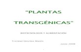 “PLANTAS TRANSGÉNICAS” .Procedimientos para la obtención de plantas transgénicas ... 5.1.3.
