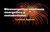 Bioenergetica continum energetico y fisico...  metabolismo Luciano Aguero. 1. nico medio de que