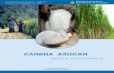 Informe Azcar 64 - .Informe de Coyuntura Mensual CADENA AZCAR Contenidos Evoluci³n de precios