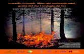 Incendis forestals, dimensi³ socioambiental, gesti³ del ... Model de simulaci³ del sistema forestal