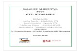 Balance Ambiental GTZ - Programas Nicaragua | ?eme en tu computadora, ahorremos papel, si urge imprimirlo
