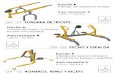 FONDERA DE TRICEPS - Equipamientos FOX | Fbrica ... 2,70 x 2,50 mts. Area necesaria ? ... Funci³n