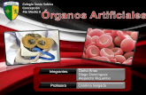 Organos artificiales