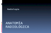 Anatom­a radiol³gica